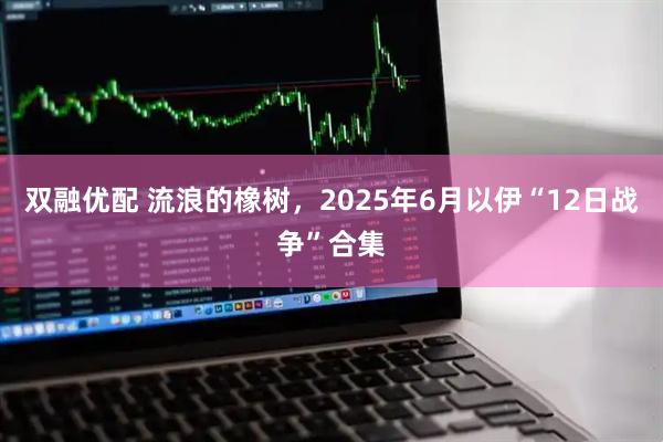 双融优配 流浪的橡树，2025年6月以伊“12日战争”合集