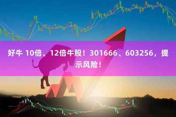 好牛 10倍、12倍牛股！301666、603256，提示风险！